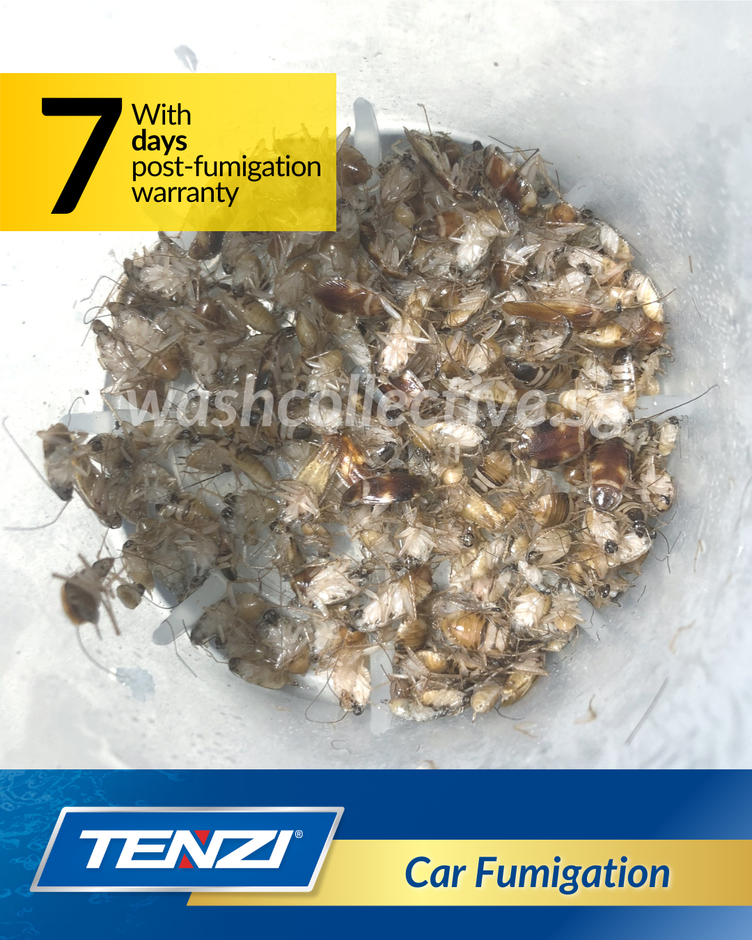 Car Fumigation Singapore - Mobile Car Wash by Wash Collective