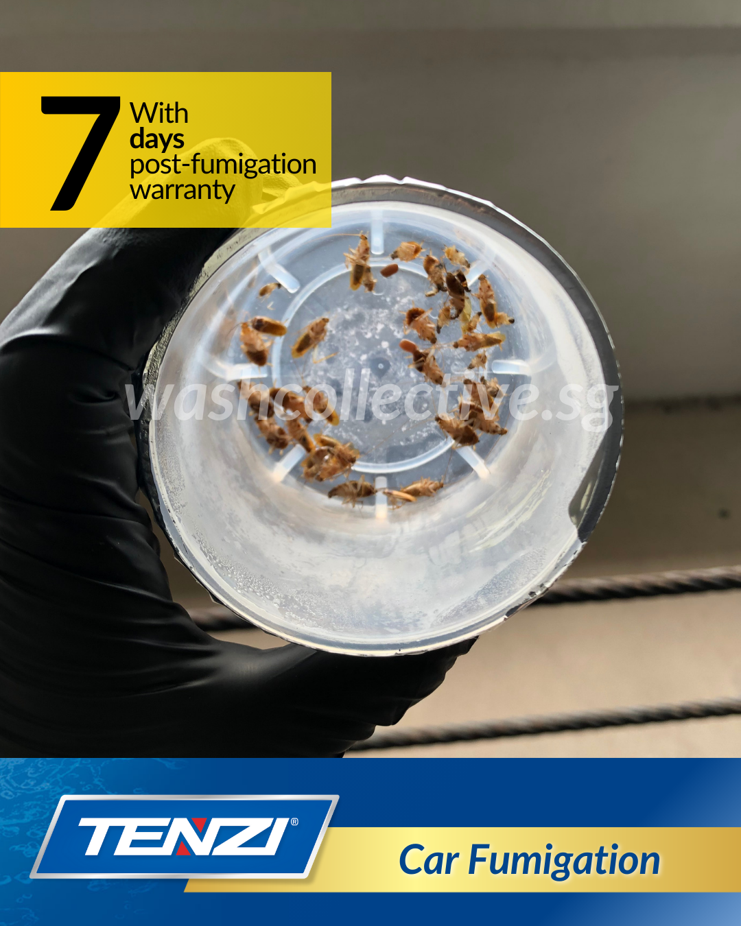 Car Fumigation Singapore - Mobile Car Wash by Wash Collective