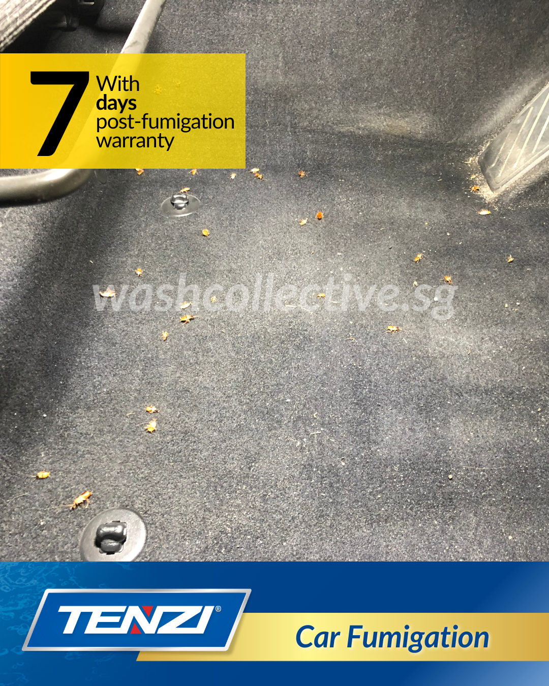 Car Fumigation Singapore - Mobile Car Wash by Wash Collective