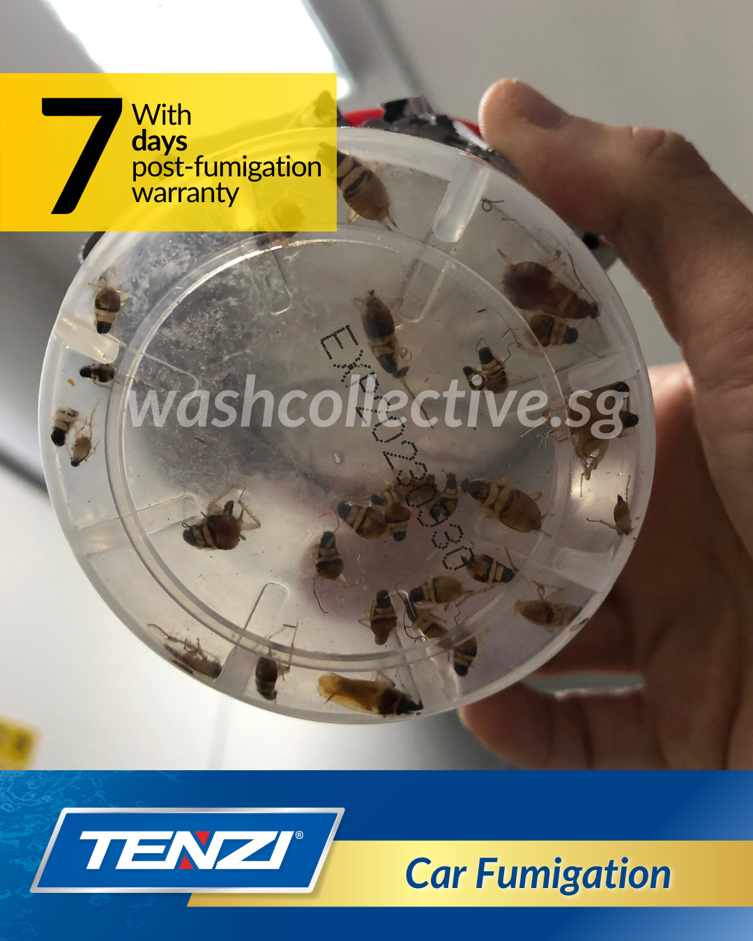 Car Fumigation Singapore - Mobile Car Wash by Wash Collective