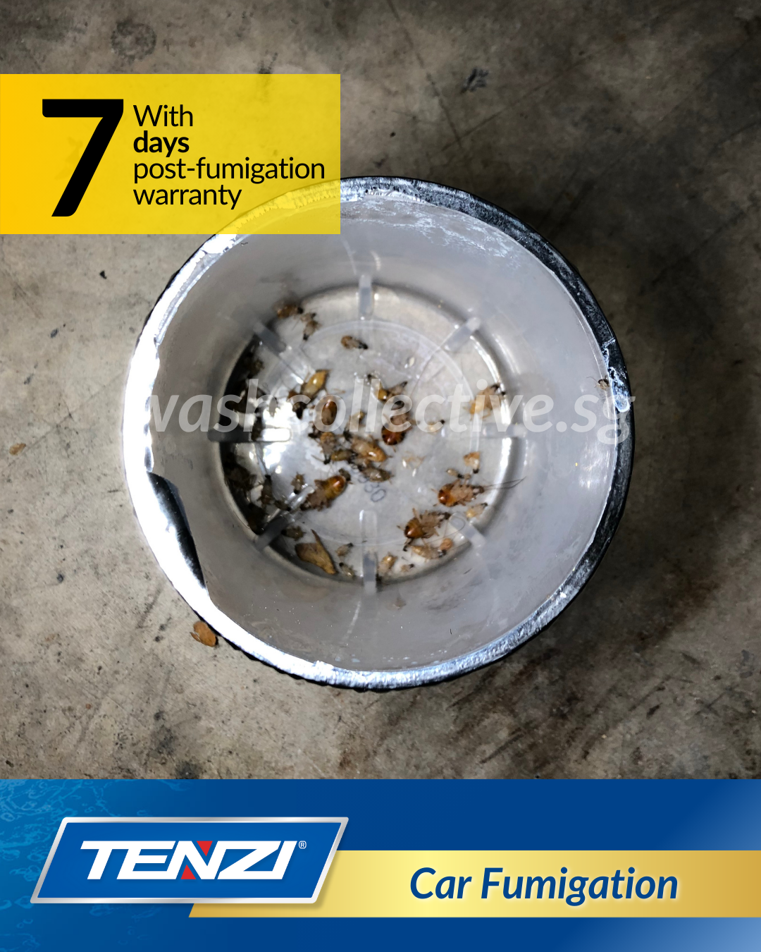 Car Fumigation Singapore - Mobile Car Wash by Wash Collective