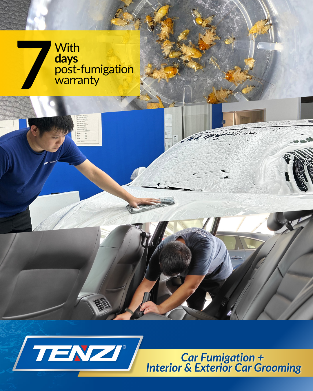 Car Fumigation + Interior & Exterior Car Grooming Bundle